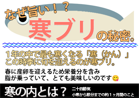 寒ブリPOP解説